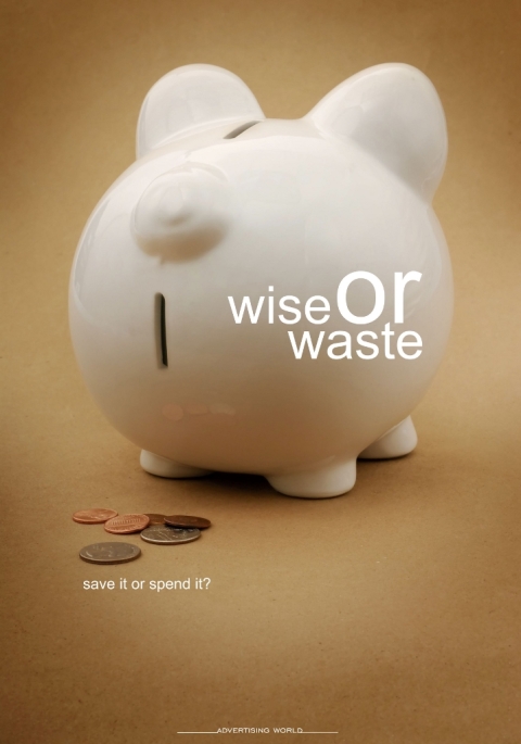 wise_or_waste